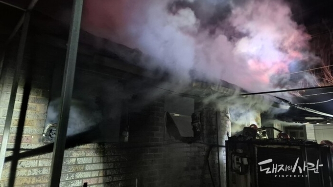 2일 새벽 공주서 올해 첫 돈사 화재....모돈 56마리 폐사