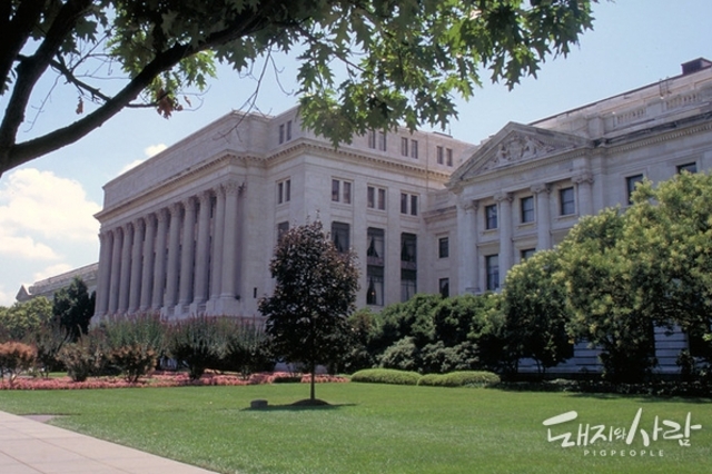 미농무부 “2026년 한국 돈육 시장 ‘보합’”…생산·수입 큰 변화 없을 듯