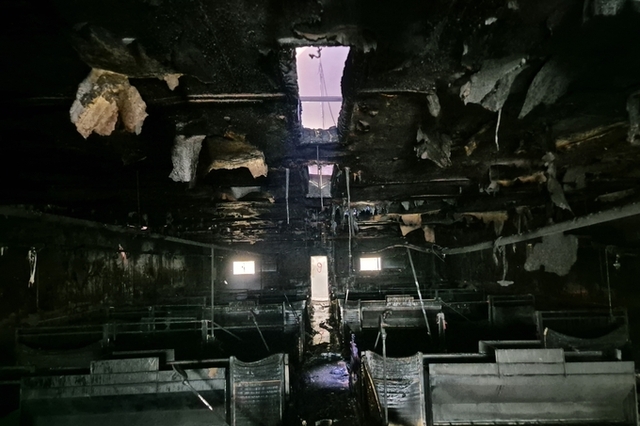 월요일 홍성서 화재로 자돈 1백여 마리 폐사 사고