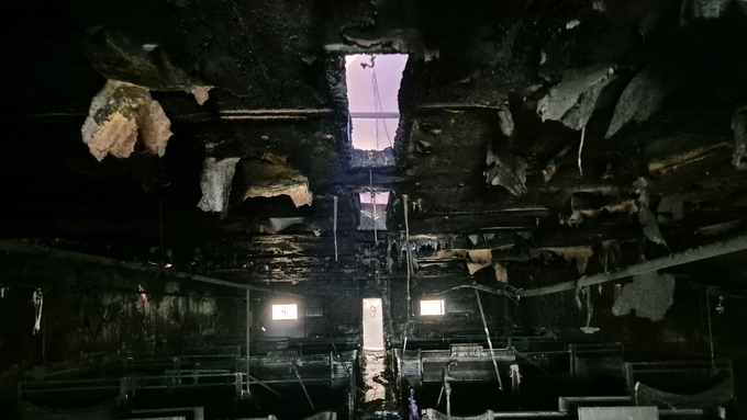 월요일 홍성서 화재로 자돈 1백여 마리 폐사 사고