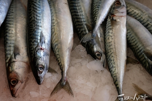 기후변화·자원관리 강화…수산물 ‘출렁’, 단백질 지형 바뀔까