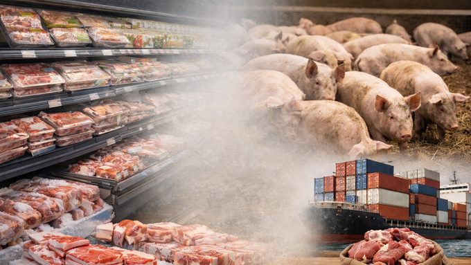 [한 주간의 돈가] 주간 도매가격 12월 내내 하락으로 마감