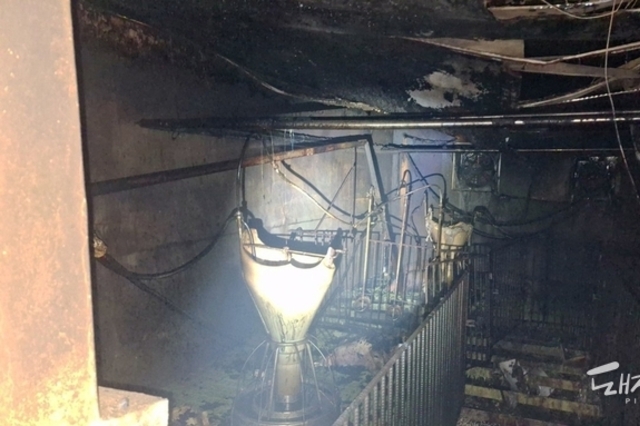 토요일 아침 제주 양돈장서 불...자돈 2백여 마리 폐사