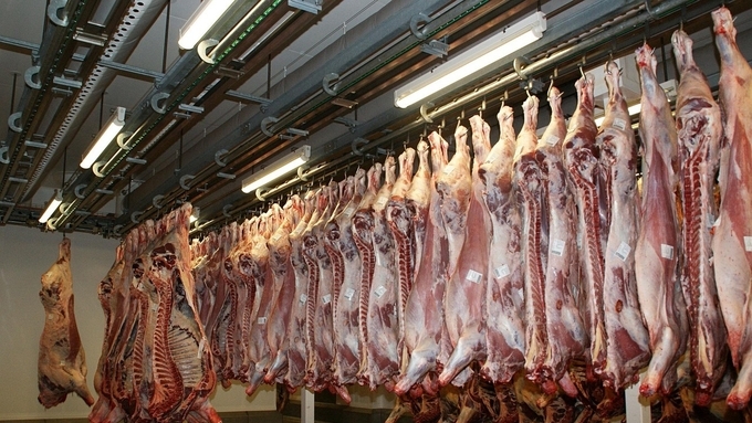 국제 돼지고기 가격 지난달 또 떨어졌다...4개월 연속 뚝뚝