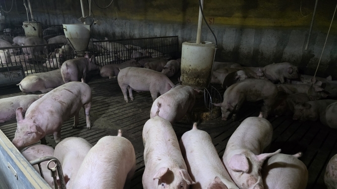 [팩트체크] 축산물 유통법 제15조 삭제 또는 변경해달라?