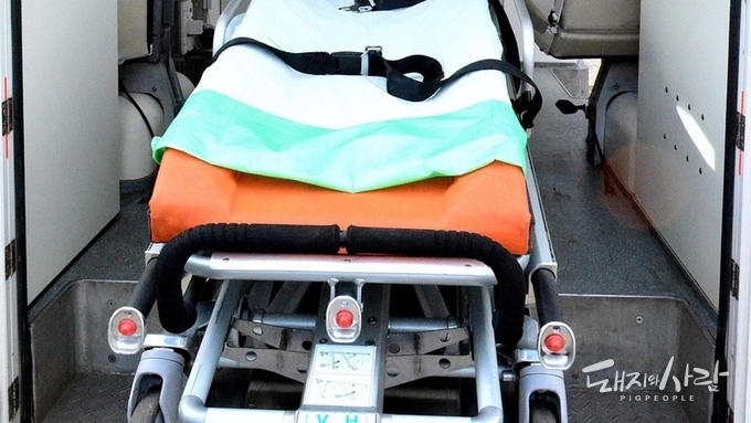 전북 김제 돼지농장서 추락 사고… ‘현재 뇌사 상태’