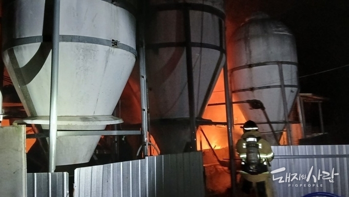 토요일 오후 의성 양돈장서 불....모돈 포함 돼지 340여 마리 폐사