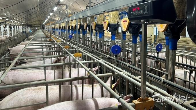 인공지능으로 모돈 체형 읽고 사료량 자동 조절…엠트리센 ‘딥스캔·딥피드’ 정밀사양 솔루션 주목