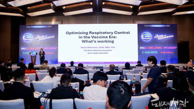 모돈 면역이 먼저다(1): 분만 전 PCV2 백신 전략