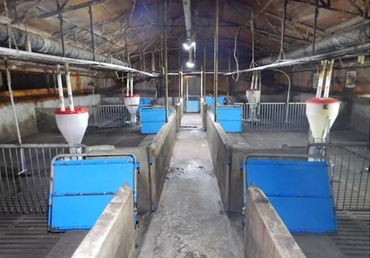 [돈돼는 강의] 자돈을 살리는 방역의 모든 것