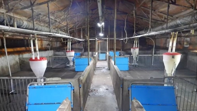 [베링거] 자돈을 살리는 방역의 모든 것