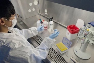 경기도 '강릉 ASF 발생 관련 도내 역학농장 현재까지 이상무'