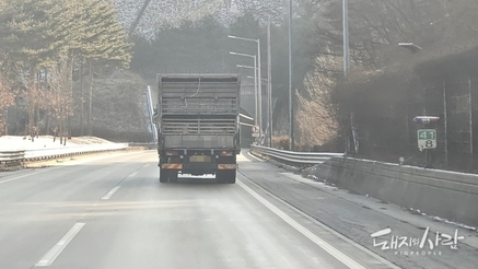 [한 장의 사진] 코스피 5천 찍은 날, 돈가 5천 아래로