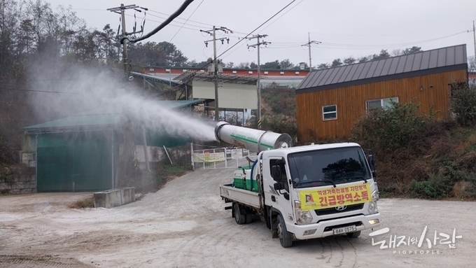 ASF, 멧돼지 경로 벗어나 전국 확산 '패닉'...."농장, 당분간 단절된 섬되어야"