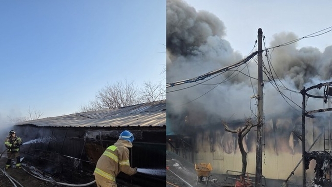전국 스탠드스틸 첫 날, 여주·보령서 연달아 돈사 화재