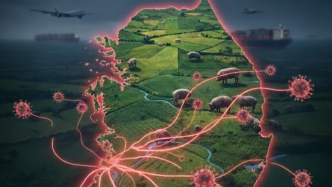 강릉·안성 ASF 바이러스 유전형, 당진과 같은 '해외 유입형'