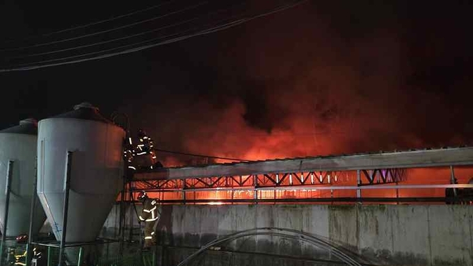 새벽 천안 양돈장서 화재....정화시설 등 건물 2개 동 전소