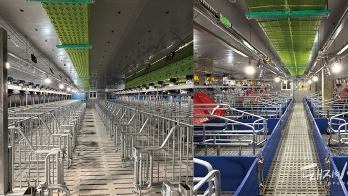 합천 ‘상진농장’, 인공지능 통합 플랫폼 ‘AIONE’으로 정밀경영 본격화