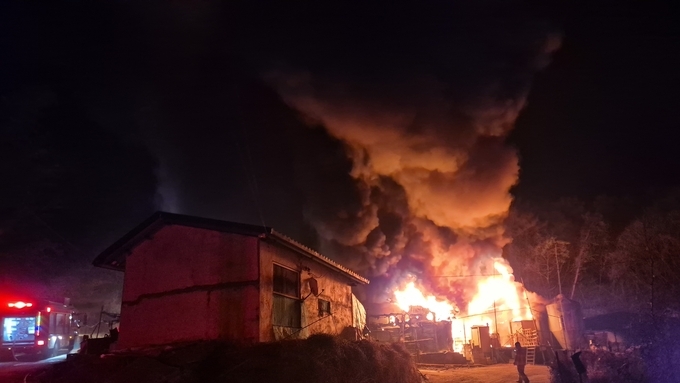 ASF 스탠드스틸 첫날 홍성서 원인 모를 불...돈사 1개 동 전소