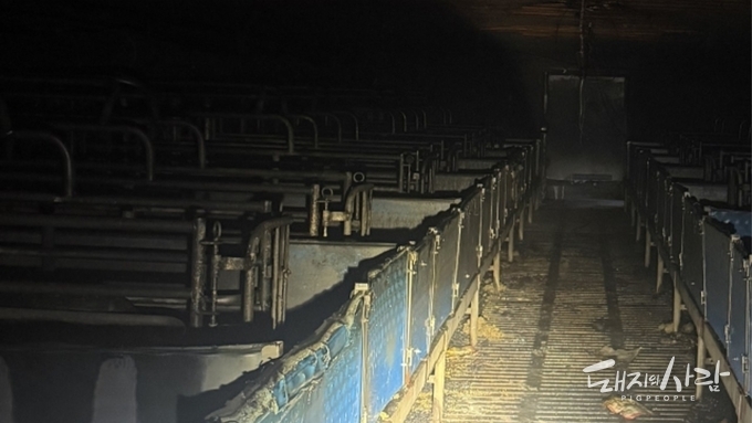 경남 산청서 원인 모를 불...돼지 189마리 폐사