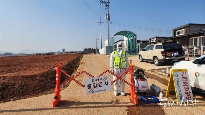 [한 장의 사진] ASF 살처분 돼지 12만 두 이상...정부 '할당관세 검토'