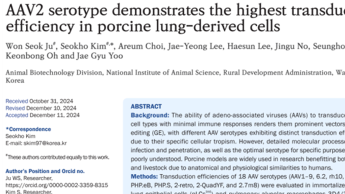 돼지 폐세포 ‘유전자 배달’ 최적 전달체 찾았다…AAV2 효율 52로 최고