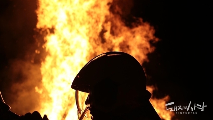 ASF 확진된 화성서 같은 날 대형 돈사 화재도 발생....돈사 2개 동 전소