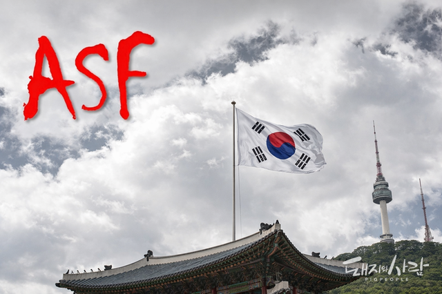 김현일 박사 “2019·2026 ASF, 야생멧돼지 확산 패턴과 달라…다른 감염원 가능성”