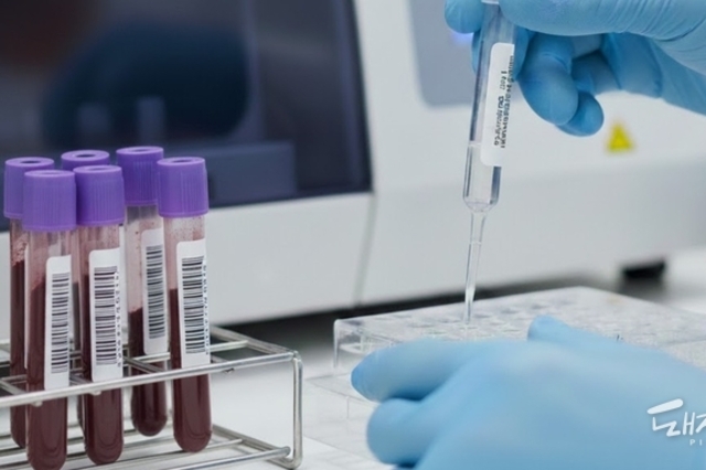 [칼럼] ASF 사태, '희생양 찾기'보다 '시스템 수술'이 먼저다