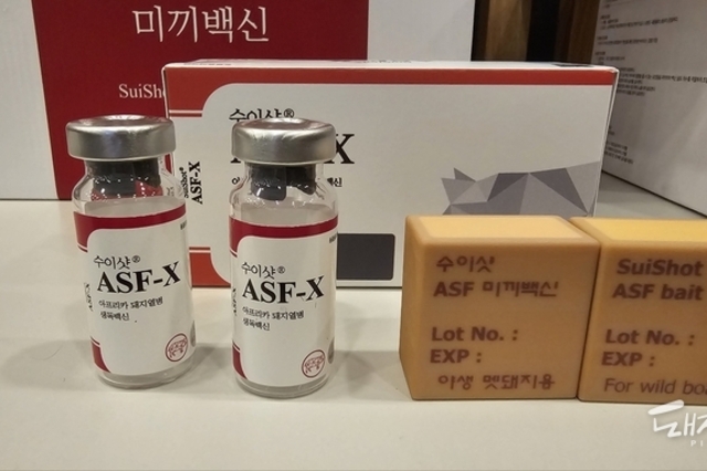 중앙백신연구소 "세계 최고 수준의 ASF 백신 후보주 확보했다"
