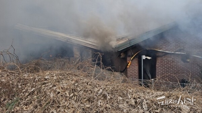 3월 첫 날 전남 무안서 '6억' 피해 규모 돈사 화재 발생