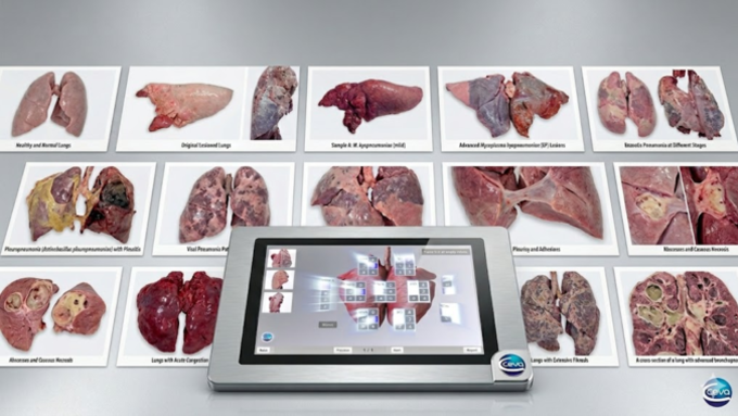 세바코리아, 3월 26일 ‘호흡기 질병 컨트롤의 새로운 기준 CLP’ 웨비나 개최