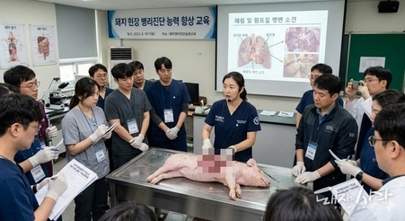 일선 현장 수의사 'ASF 초기 의심 판단 능력' 높인다