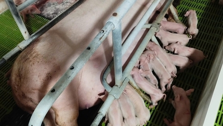 [한 장의 사진] '희망' 쏜 아주 특별한 분만