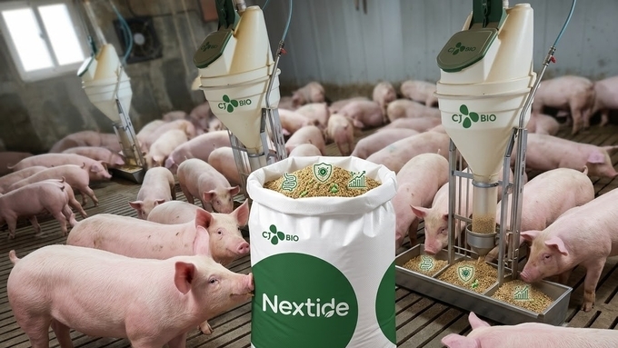 [기고] 동물성 원료에서 기인하는 위험요소를 제거한 고품질 고단백 솔루션 '넥스타이드 (NEXTIDE)'