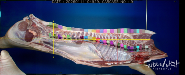 축산물품질평가원, 인공지능 기반 돼지 품질 평가 장비 확대 보급