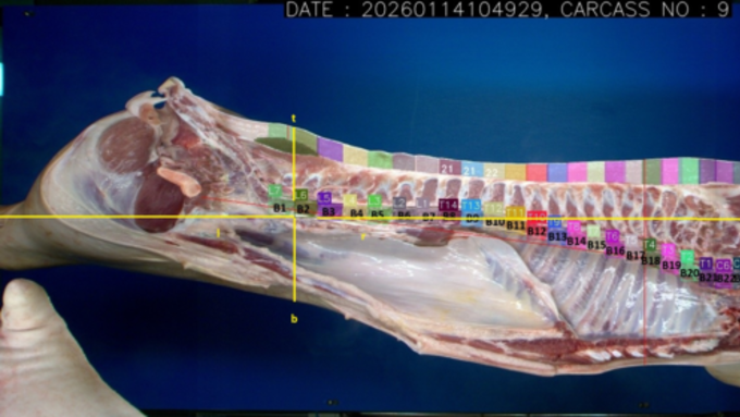 축산물품질평가원, 인공지능 기반 돼지 품질 평가 장비 확대 보급