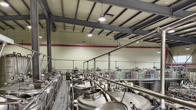 [기고] 사료의 ASF 유전자 검출 - PCR 검사의 오해와 혈장단백질의 안전성에 관하여