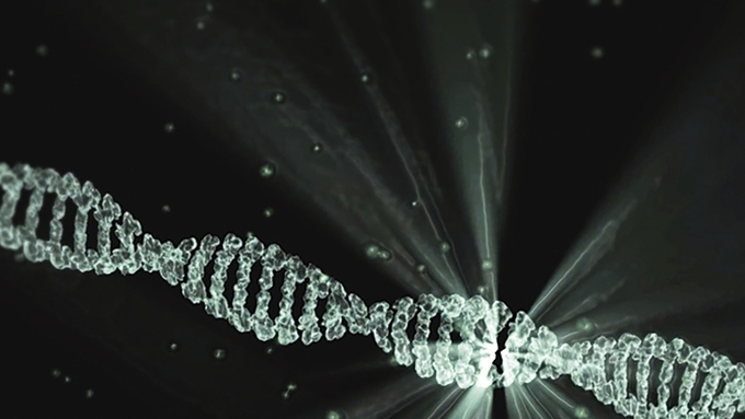 [초록] 한국에서 발견된 유전자 결실 ASF 바이러스의 병리학적 특성 분석