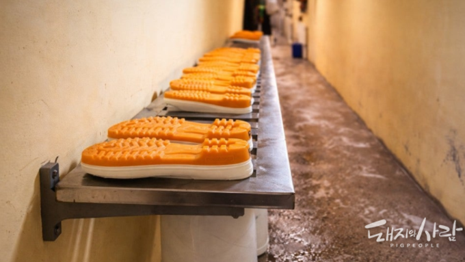 저비용 고효율... 로즈팜 김학현 대표의 '스테인리스 장화 거치대' 눈길