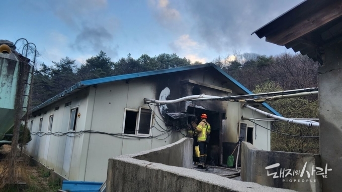 새벽 전북 완주 돈사서 원인 모를 불.....돼지 130여 마리 폐사