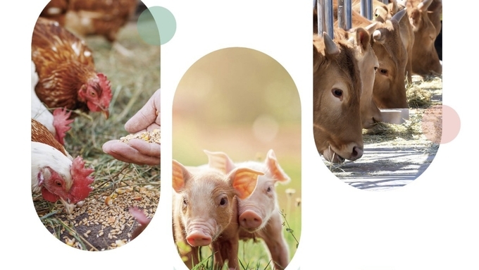 “축산 현장 안전이 최우선”… 농진청, ‘축산분야 안전사고 예방 지침서’ 배포