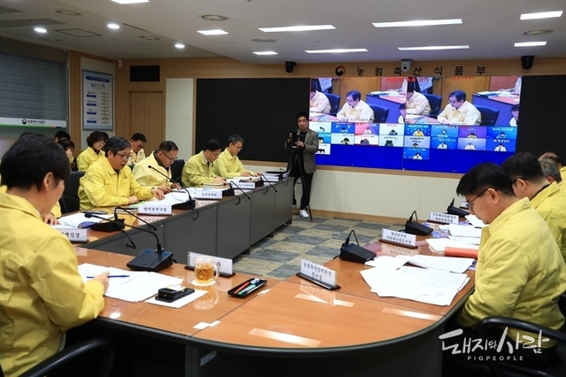 정부 "ASF·구제역 방역 6개월 만에 '평시' 전환....향후 정책 전반 재검토”