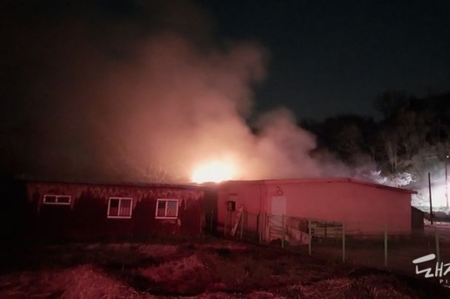 합천 초계면서 4월 첫 돈사 화재....돼지 1백여 마리 폐사