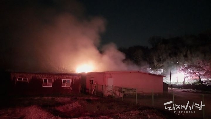 합천 초계면서 4월 첫 돈사 화재....돼지 1백여 마리 폐사