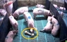 [참고] 돼지 동물복지 가이드라인