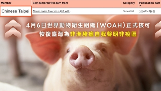 대만의 기적…발생 반년 만에 ASF 청정국 지위 '초고속 복귀'