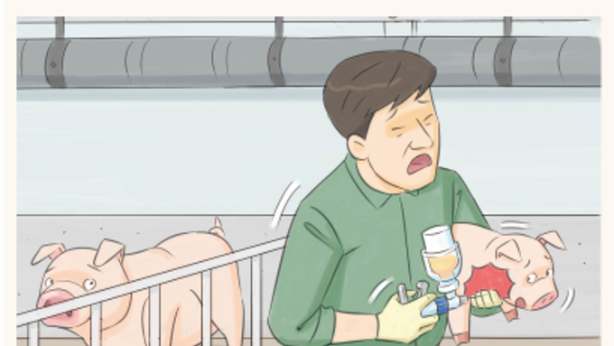 [참고] 양돈 현장 주요 안전사고 예방 매뉴얼