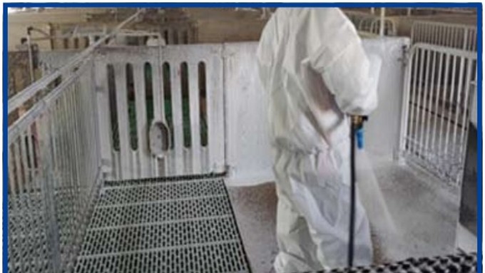 [참고] 양돈농가 위생관리 가이드라인