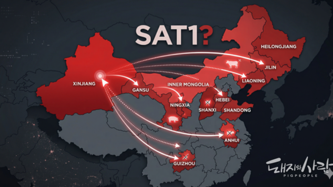 '중국 구제역 SAT1형, 12개 성으로 '파죽지세' 확산 의심'
